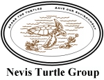 Nevis Sea Turtle Group