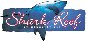 shark_reef_logo