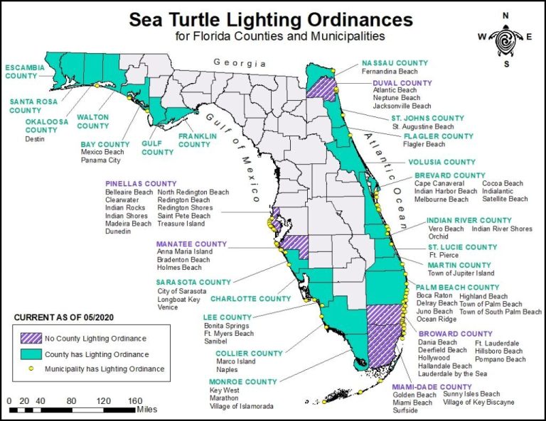 Beachfront Lighting: How You Can Help – Sea Turtle Conservancy