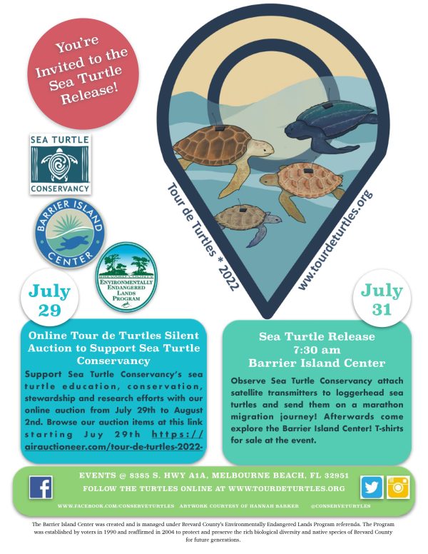 You’re Invited to the Tour de Turtles Sea Turtle Release on July 31