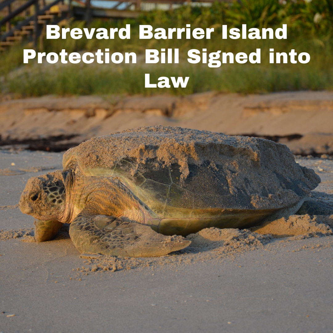 https://conserveturtles.org/wp-content/uploads/2023/06/Brevard-Barrier-Island-Protection-Bill-Signed-into-Law.png