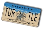 Florida Sea Turtle License Plate Logo