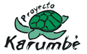Karumbe_logo